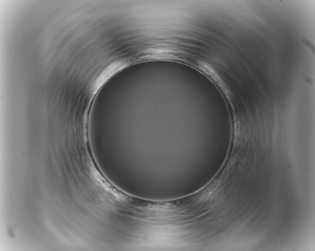 X0000100921386200807011256