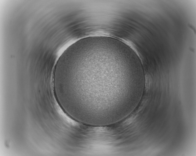 X0000100921387200807011256