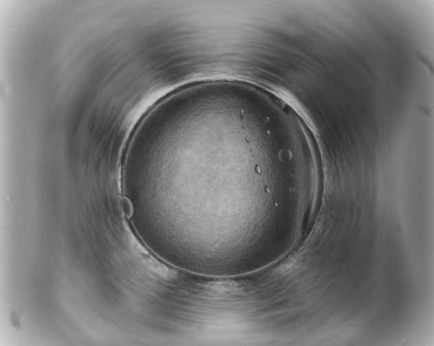 X0000100921388200807011256