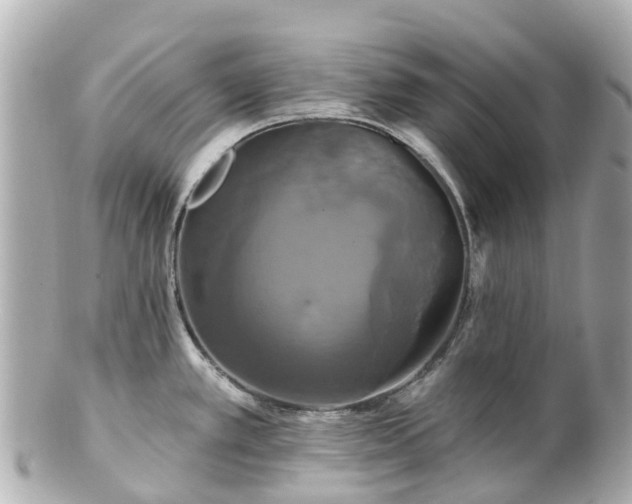 X0000100921389200807011256