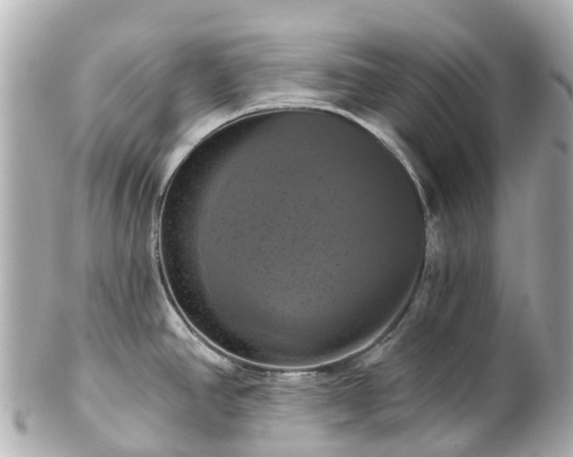 X0000100921390200807011256