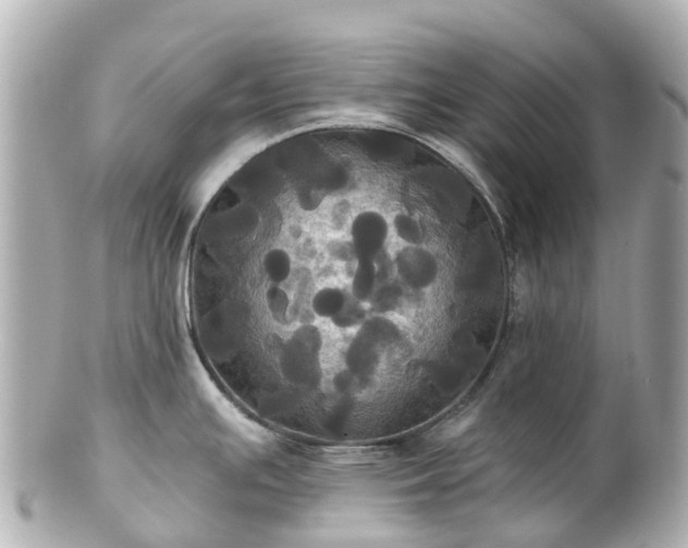 X0000100921391200807011256