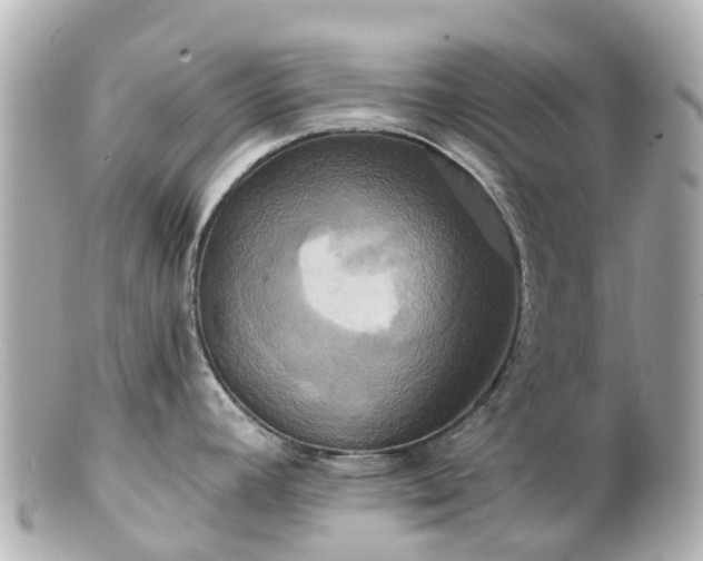 X0000100921392200807011256