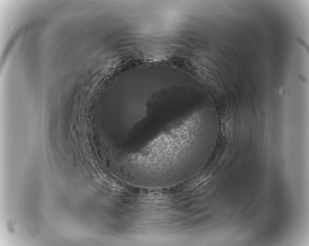 X0000100921393200807011256