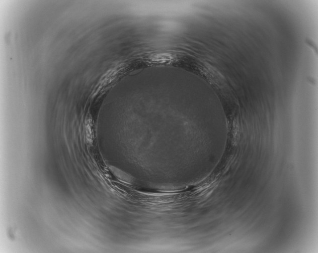 X0000100921394200807011256