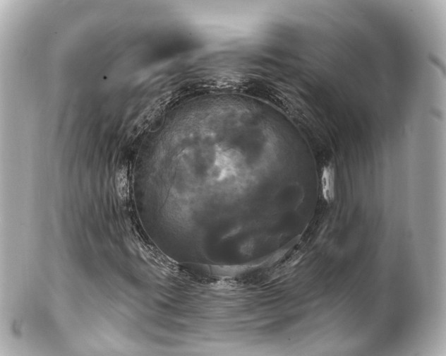 X0000100921395200807011256