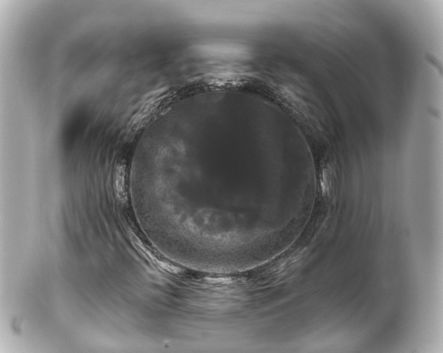 X0000100921396200807011256