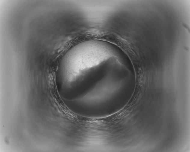 X0000100921397200807011256