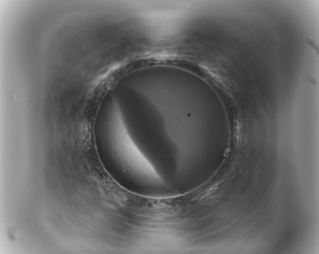 X0000100921398200807011256