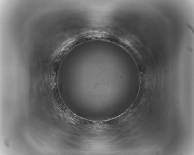 X0000100921399200807011256