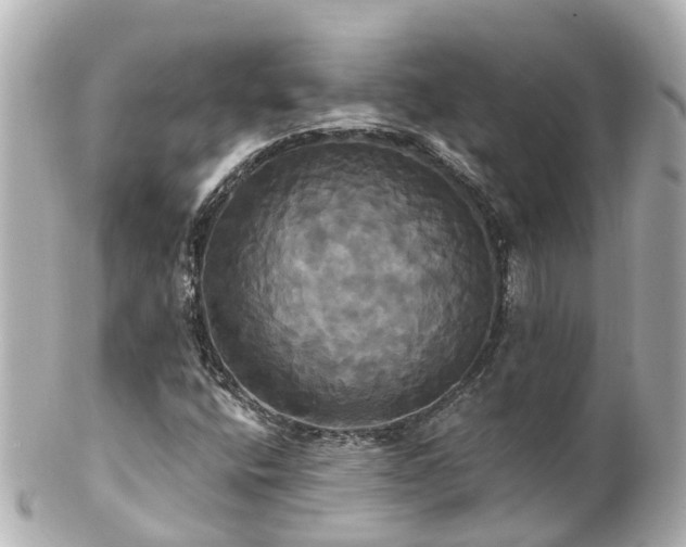 X0000100921400200807011256