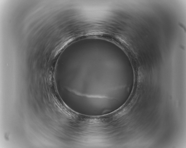 X0000100921401200807011256