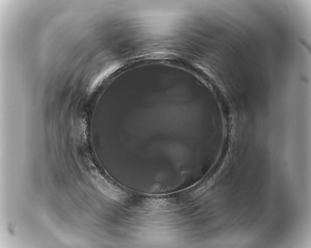 X0000100921402200807011256