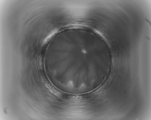 X0000100921403200807011256