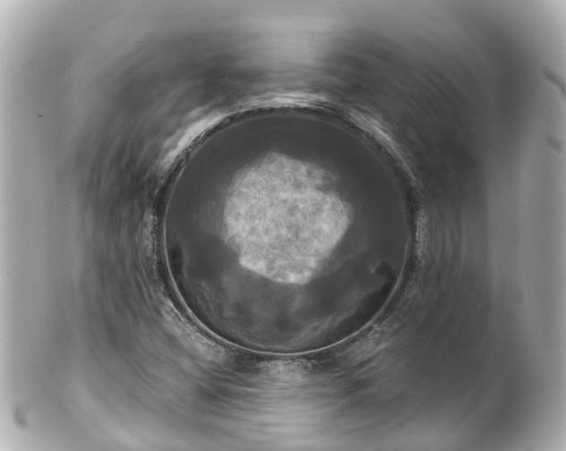 X0000100921404200807011256