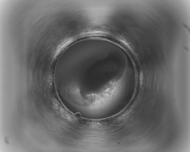 X0000100921405200807011256