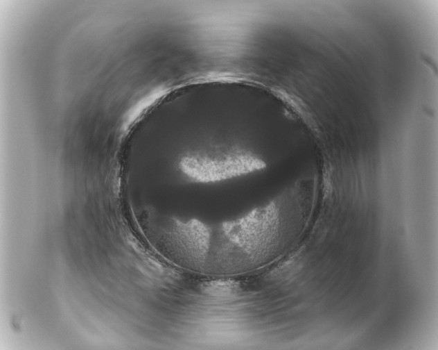 X0000100921406200807011256