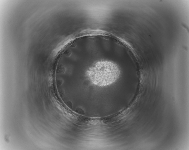 X0000100921407200807011256