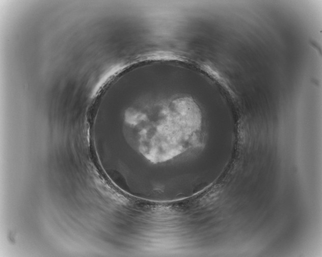 X0000100921408200807011256