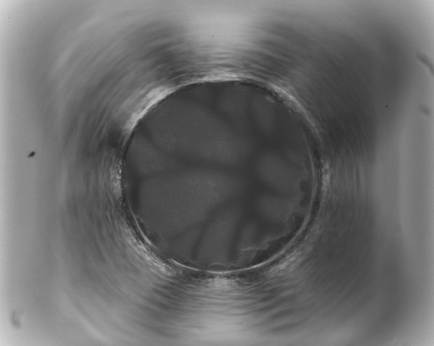 X0000100921409200807011256