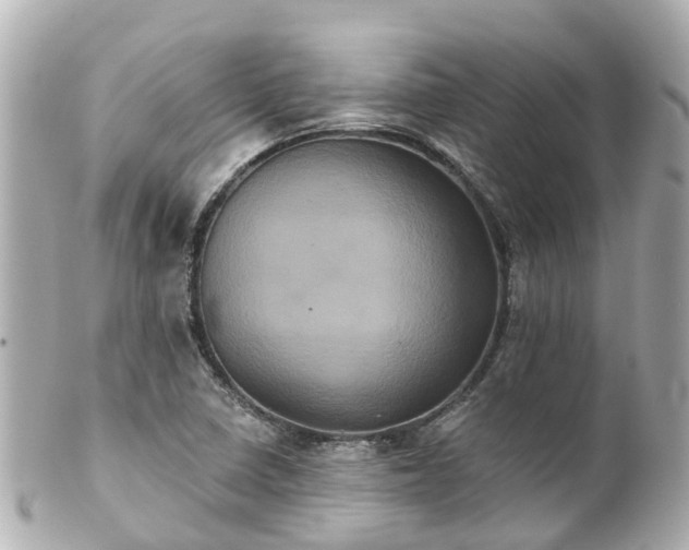 X0000100921410200807011256