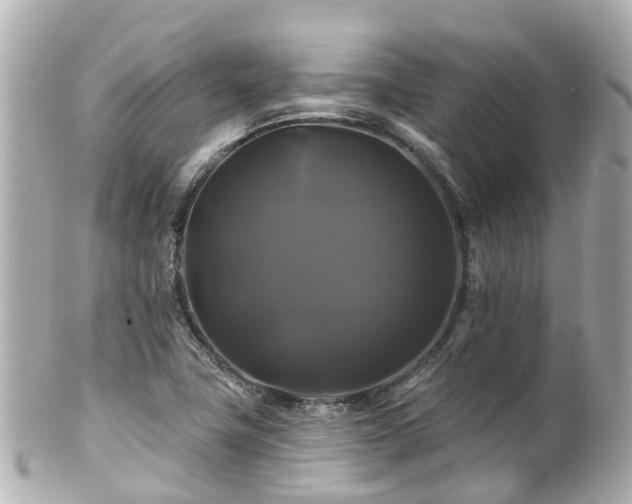 X0000100921411200807011256