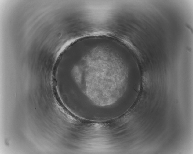 X0000100921412200807011256