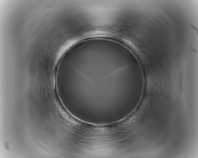 X0000100921413200807011256