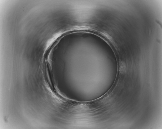 X0000100921414200807011256