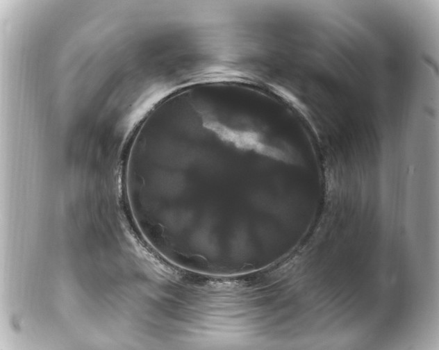 X0000100921415200807011256