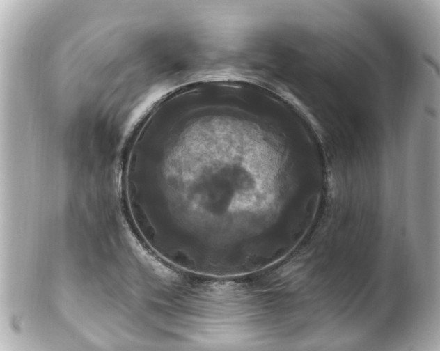 X0000100921416200807011256