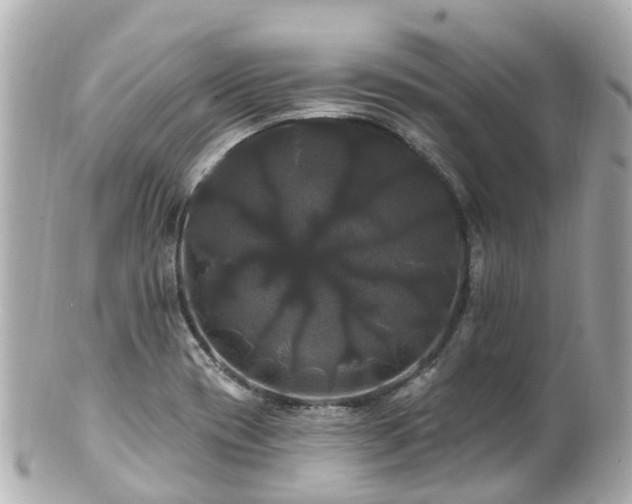 X0000100921417200807011256