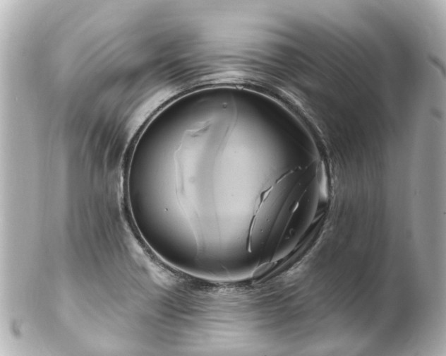 X0000100921418200807011256