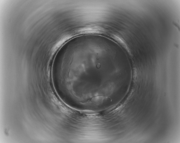 X0000100921419200807011256