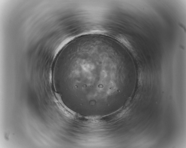 X0000100921420200807011256