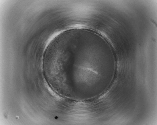 X0000100921421200807011256