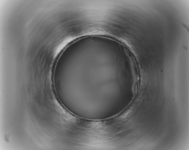 X0000100921422200807011256