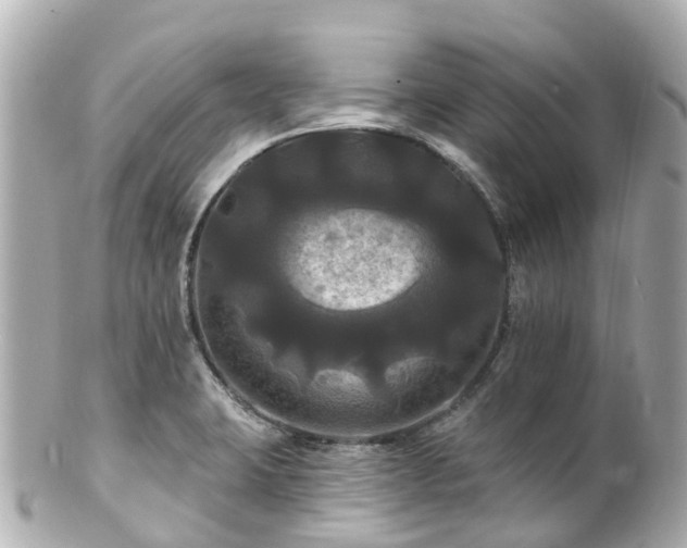 X0000100921423200807011256