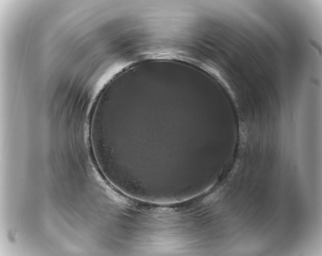 X0000100921424200807011256