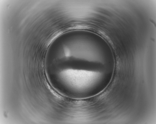 X0000100921425200807011256