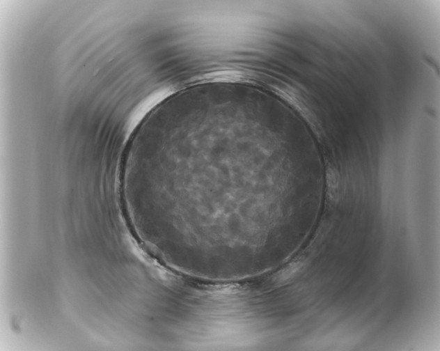 X0000100921426200807011256