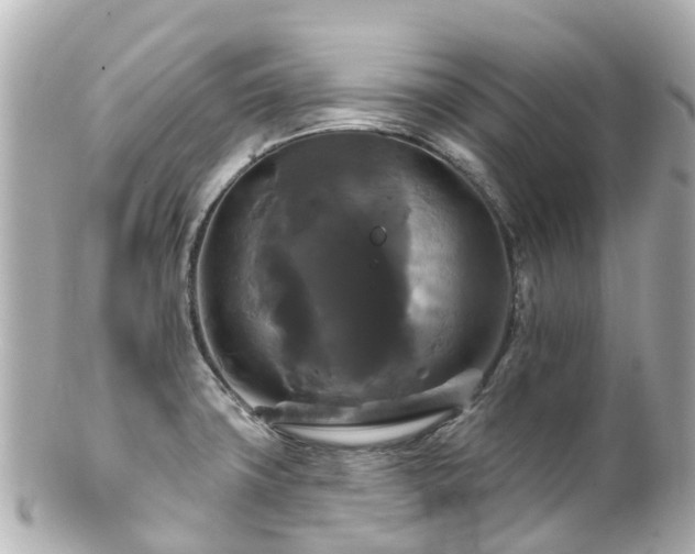 X0000100921427200807011256