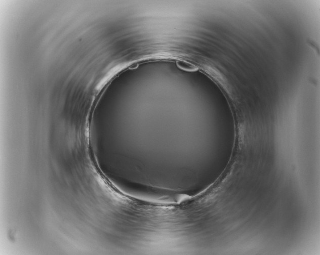 X0000100921428200807011256