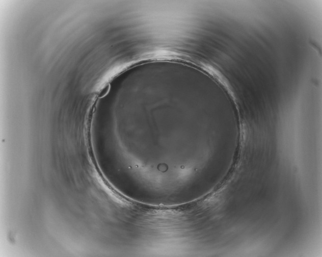 X0000100921429200807011256