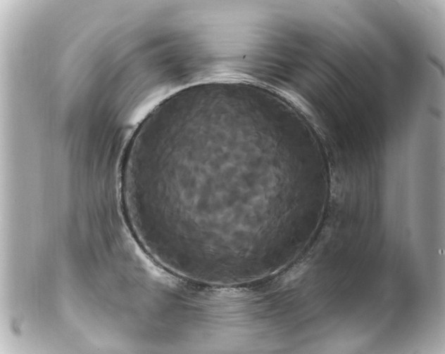 X0000100921430200807011256