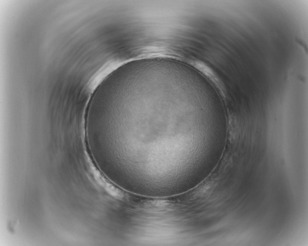 X0000100921431200807011256