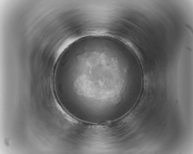 X0000100921432200807011256