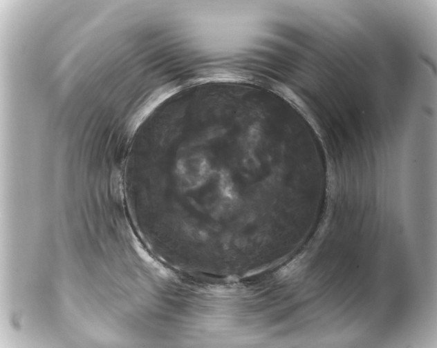 X0000100921433200807011256