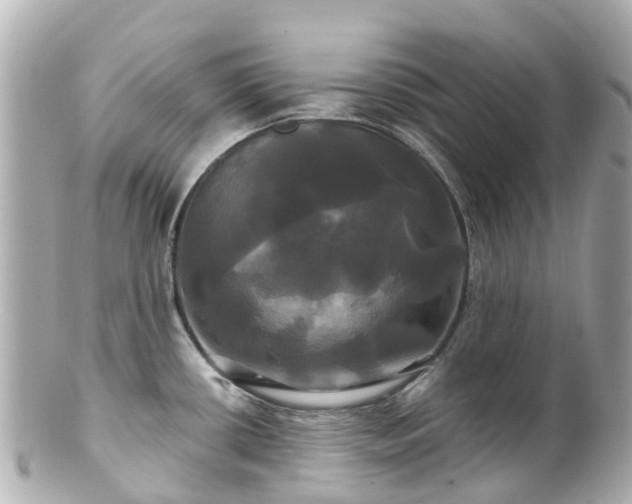 X0000100921434200807011256