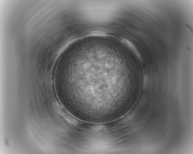 X0000100921435200807011256